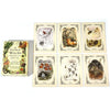 A collection of 10 oracle cards from The Green Witch's Oracle Deck featuring seasonal imagery like Winter, Autumn, Summer, Sp