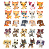 A collection of charming bobblehead pet figurines featuring various breeds including dachshunds, kittens, and collies.