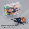 A wind-up insect toy set featuring a ladybug, bee, and beetle inside clear plastic packaging.