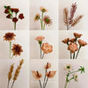 Collection d'arrangements floraux séchés faits de matériaux naturels comme des capsules de graines et des tiges végétales.