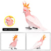 Realistic Bird Figurine Set – Educational PVC Models for Kids and Collectors
