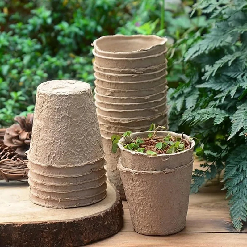 Stack of biodegradable peat pots for seed starting in a natural outdoor setting.
