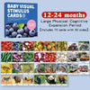 Montessori High-Contrast Visual Stimulation Cards for Babies