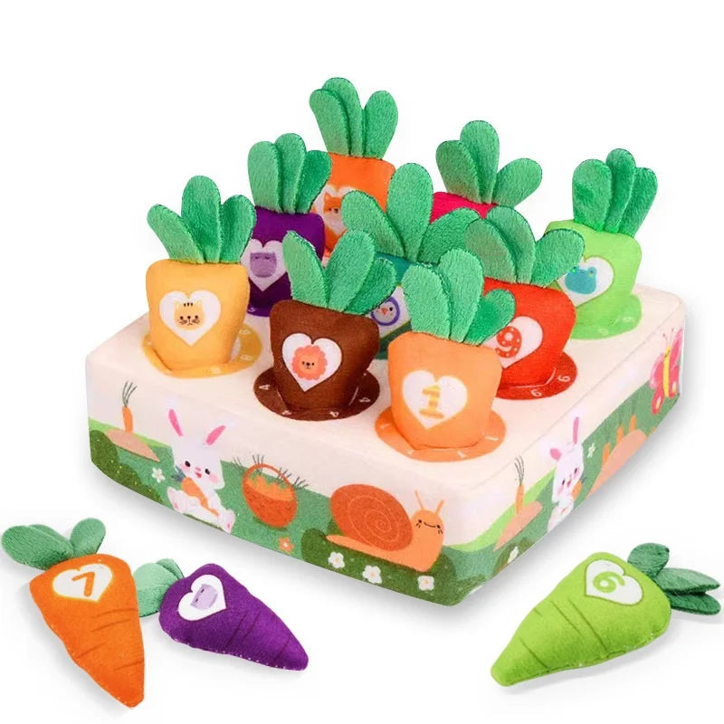 A box of soft pulling carrot sensory toys featuring various colored carrots and vegetables for babies.