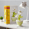 A set of three white flower vases with green stems and leaves displayed on a white table.