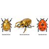 A set of three wind-up insect toys: a golden beetle, a bronze bee, and an orange ladybug.