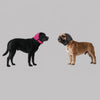 Calming Dog Head Cover for Anxiety Relief & Pest Protection