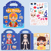 A set of Jelly stickers and anatomy illustrations for a children's sticker book featuring body parts and skeletal structure.