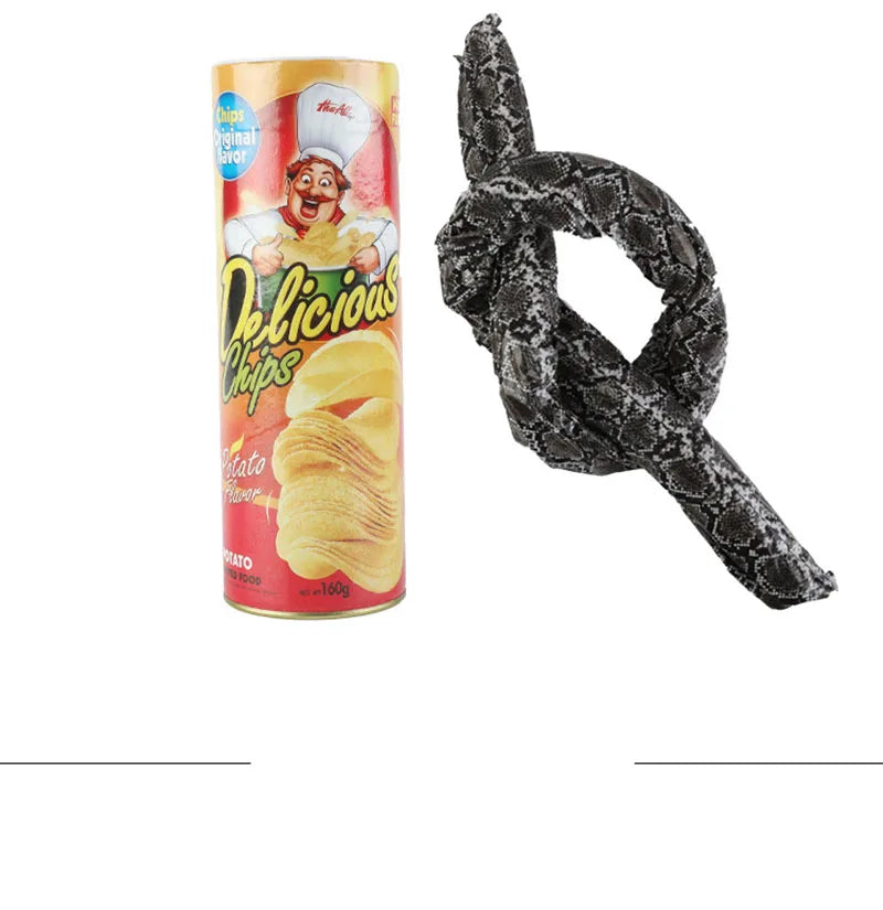 Surprise Prank Snake in a Potato Chip Can