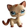 A charming bobble head pet figurine of a cat with light tan fur and brown markings.