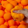 Crunchy Durian & Dragon Fruit Stress Ball – Squeeze Toy Set