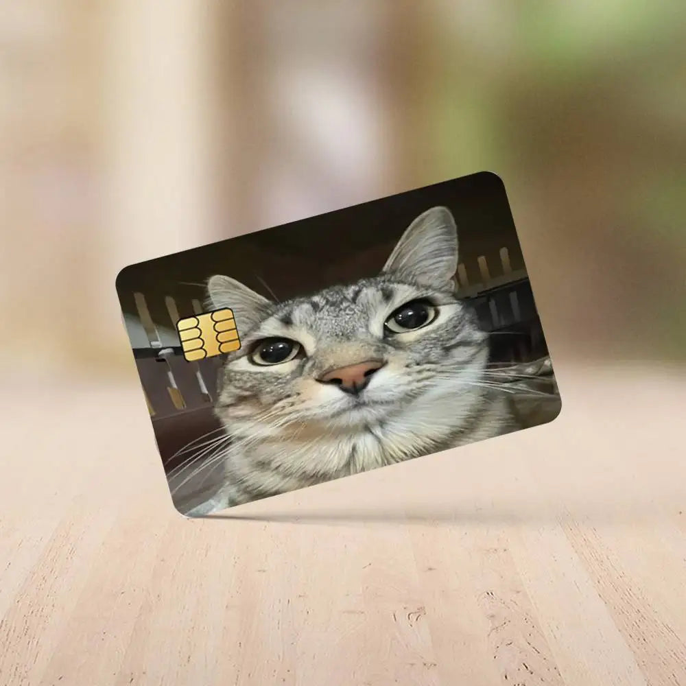 A close-up photo of a tabby cat looking directly at the camera on a card.