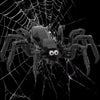 Building Block Kit: Black Spider Model