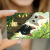 A card featuring illustrations of a black cat and a white cat against a green leafy background.