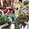 A set of three mini gardening tools with wooden handles shown in various contexts.