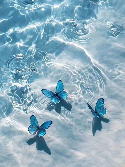 Blue butterfly paint by numbers kit on canvas floating in clear water