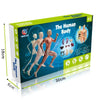 A box of The Human Body Interactive Anatomy STEM Building Kit showing a muscular male figure and skeletal structure.