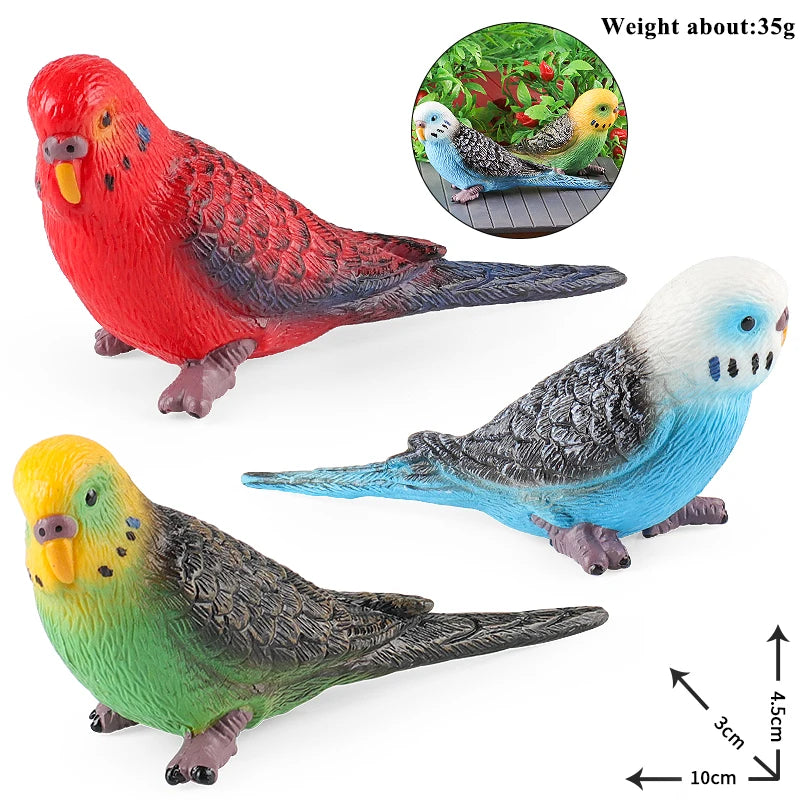 Realistic Bird Figurine Set – Educational PVC Models for Kids and Collectors