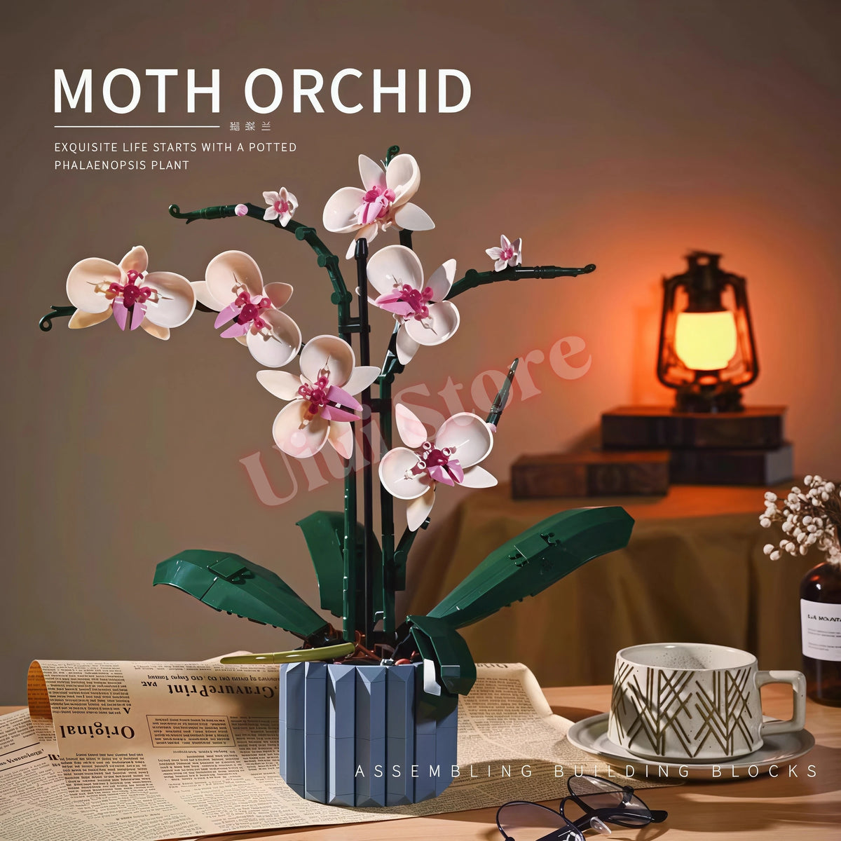 A bouquet of Moth Orchid flowers displayed in a blue block planter on a wooden surface.