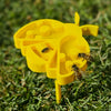Cute Bee-Shaped Garden Water Feeder