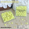 Fruit & Floral Resin Nail Art Decorations