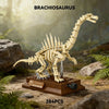 A detailed Brachiosaurus dinosaur model built from wooden building blocks displayed in a natural outdoor setting.