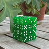 A stack of green transparent dice set resting on a wooden surface next to a large green plant.