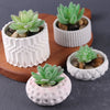 A collection of small succulent plants potted in various white silicone molds and natural stones on a wooden surface.