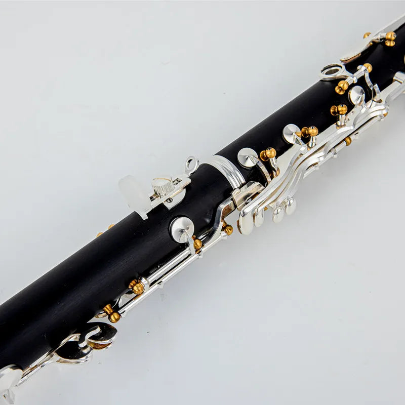 Professional Bb Clarinet with Case