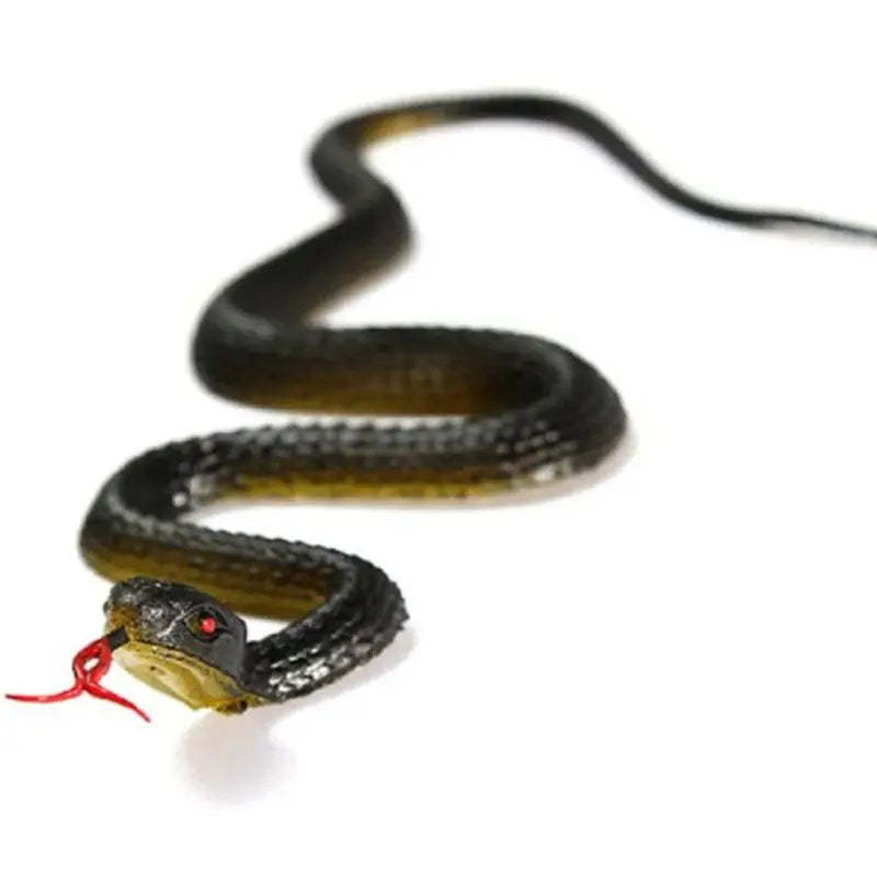 A realistic rubber snake prop with dark green and black patterning, coiled on a white background.