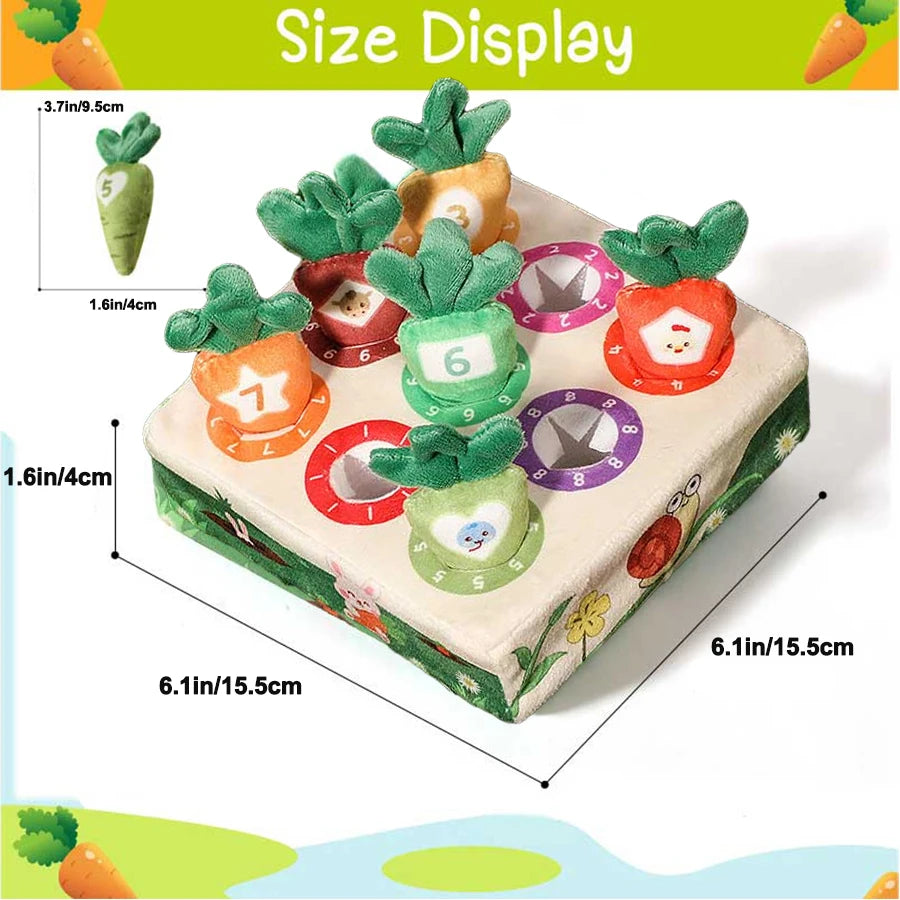 A display of Montessori carrot pull toys for toddlers showing various sizes and colors.