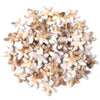 A variety pack of acrylic beads shaped like starfish, conch, and turtle in natural beige and white colors.