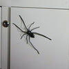 Realistic Spider Fridge Magnet – Fun Prank Decor