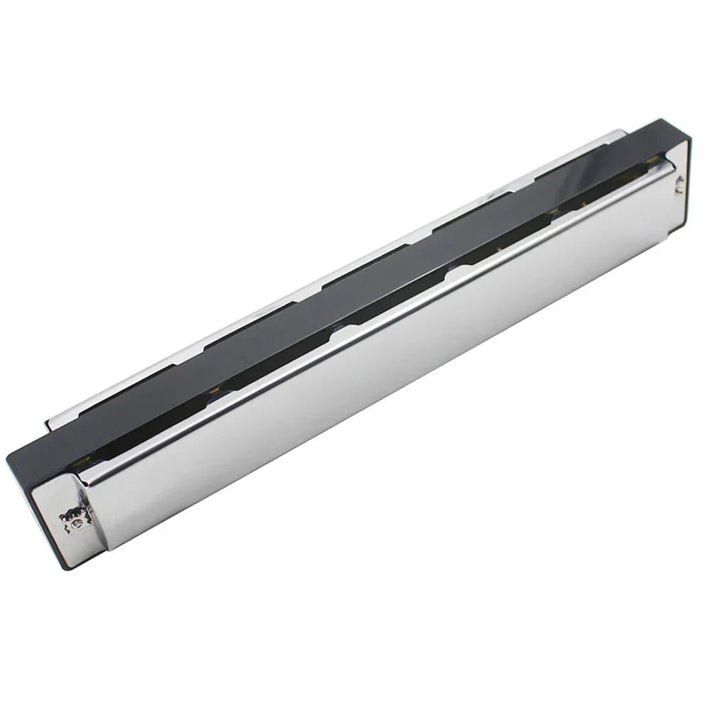Silver 24-hole tremolo harmonica in a protective case