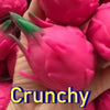 Crunchy Durian & Dragon Fruit Stress Ball – Squeeze Toy Set