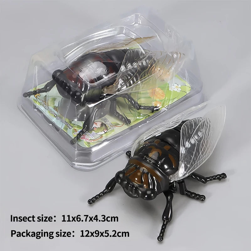 A set of wind-up insect toys including a ladybug, bee, and beetle packaged in clear plastic.