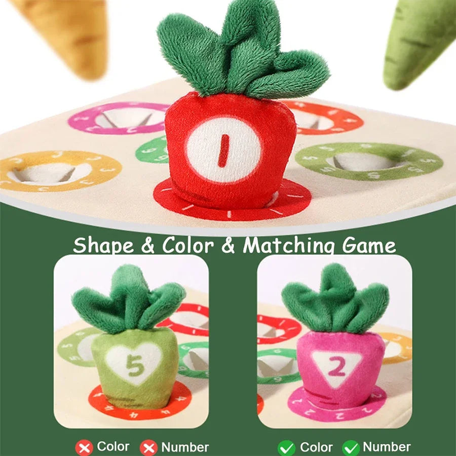 A matching game set featuring a strawberry and carrot shapes for toddlers to learn color and number recognition