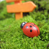 Self-Adhesive Wooden Ladybug Magnets for DIY Craft Projects