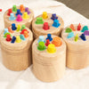Wooden Montessori Color Sorting Toy for Toddlers