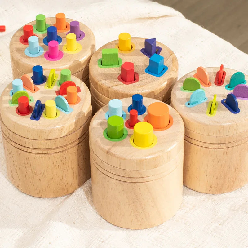 Wooden Montessori Color Sorting Toy for Toddlers