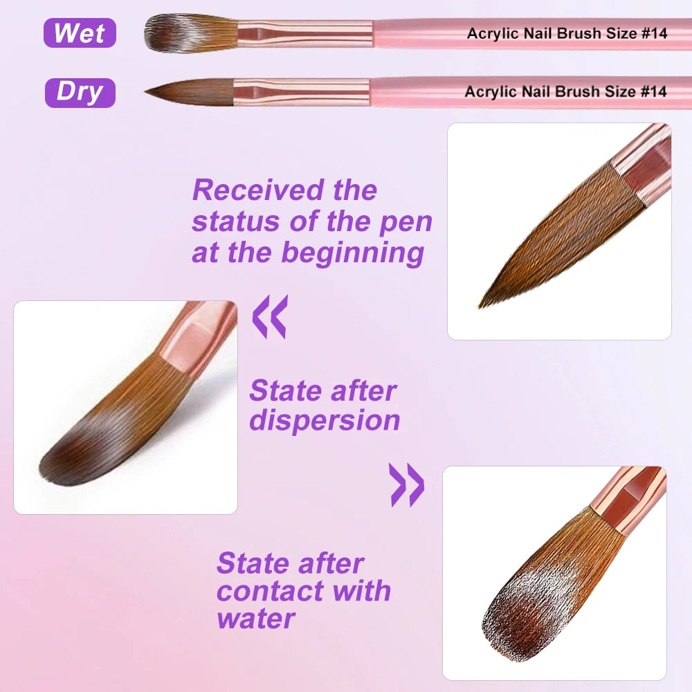 Professional Acrylic Nail Brush Set – 3 Sizes for Extension & 3D Art