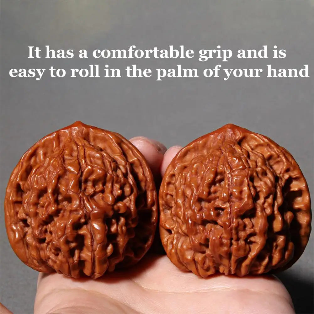 Two hand-polished walnuts with a textured surface are held in a person's palm.