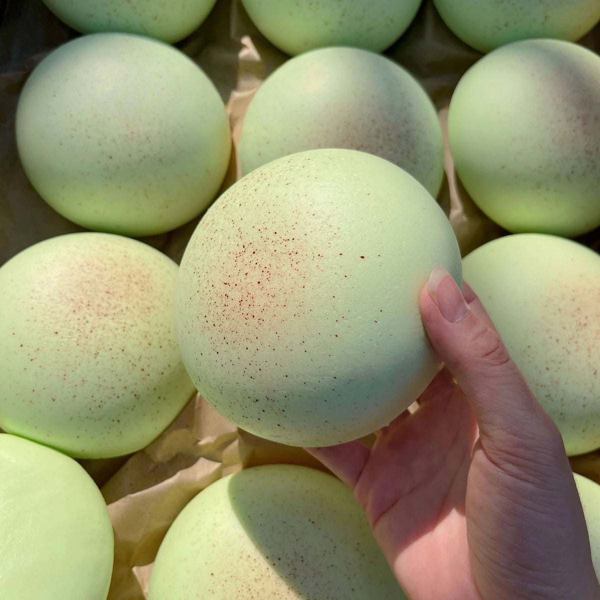 A hand is holding a light green mochi squishy toy, which resembles an egg shape, on a brown paper background.