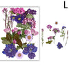 Pressed natural dried flowers in various shades of purple, pink, and blue for resin art