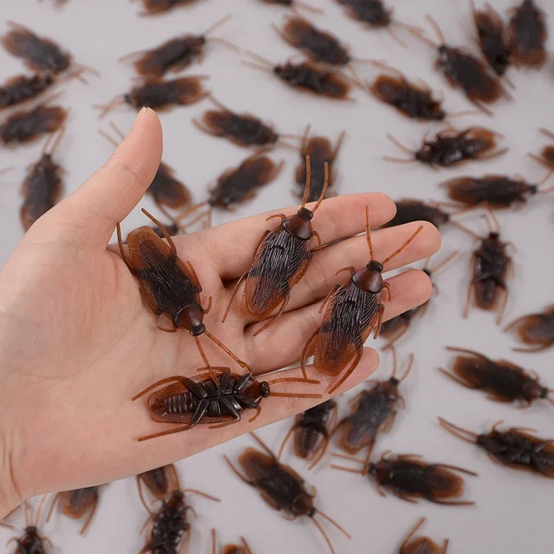 A hand holds several lifelike fake cockroaches for props and Halloween