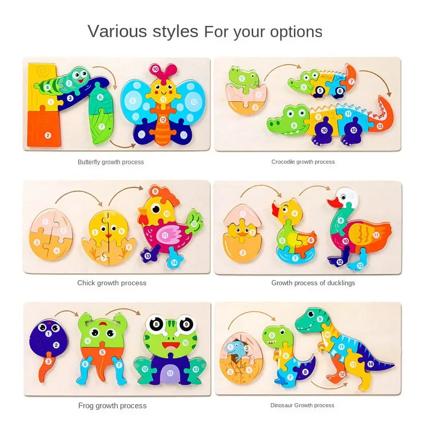 A set of wooden puzzles showing various stages of growth for a butterfly, crocodile, duckling, and frog.