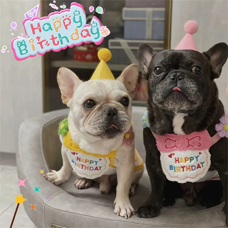 Pet Birthday Hat and Bib Celebration Set