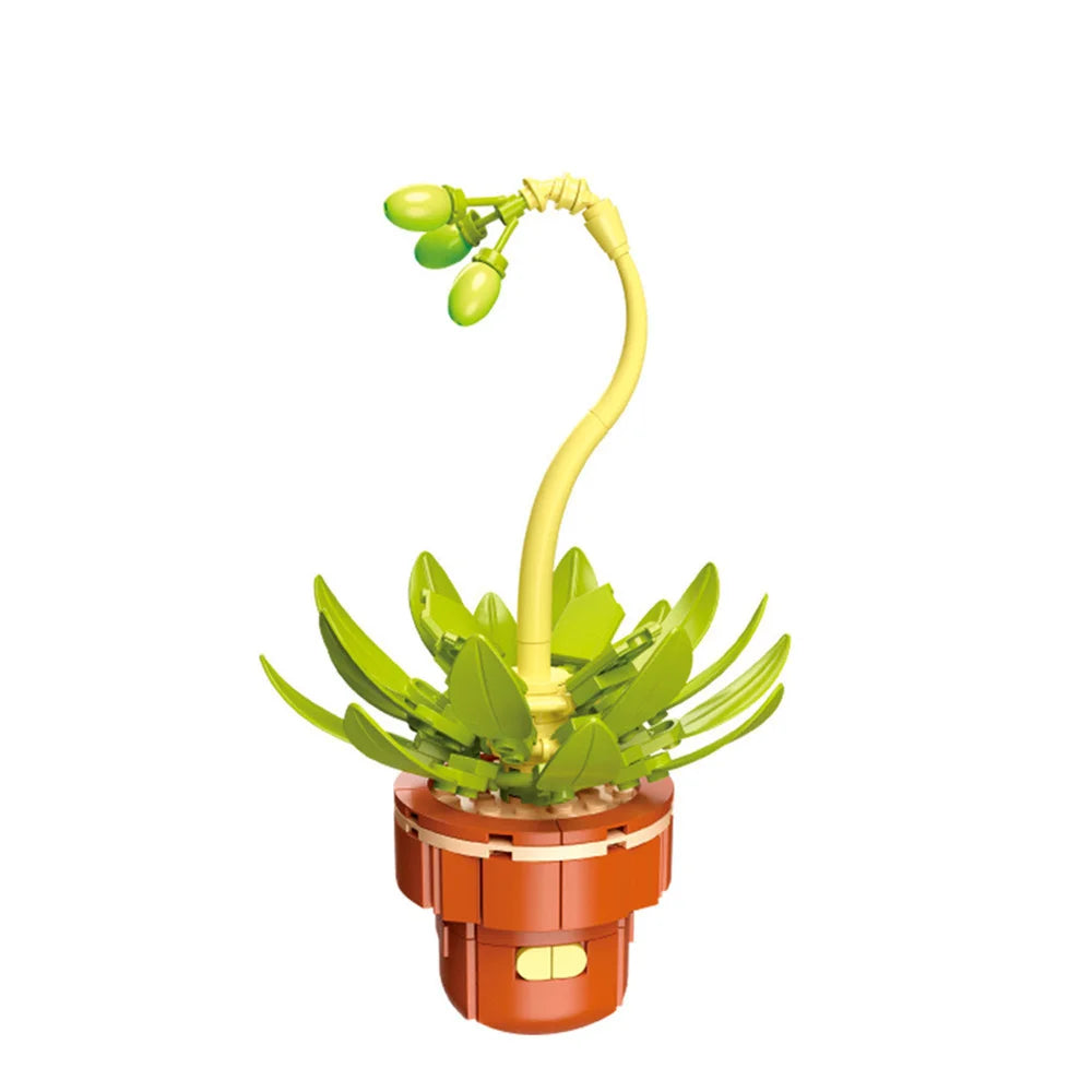 A yellow plant with green leaves and small fruit is shown in a terracotta pot.