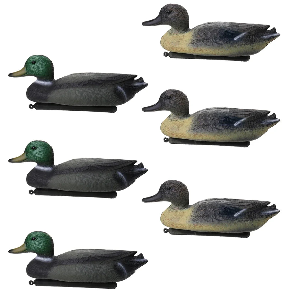 A set of six lifelike floating duck decoys with keels for hunting and photography.