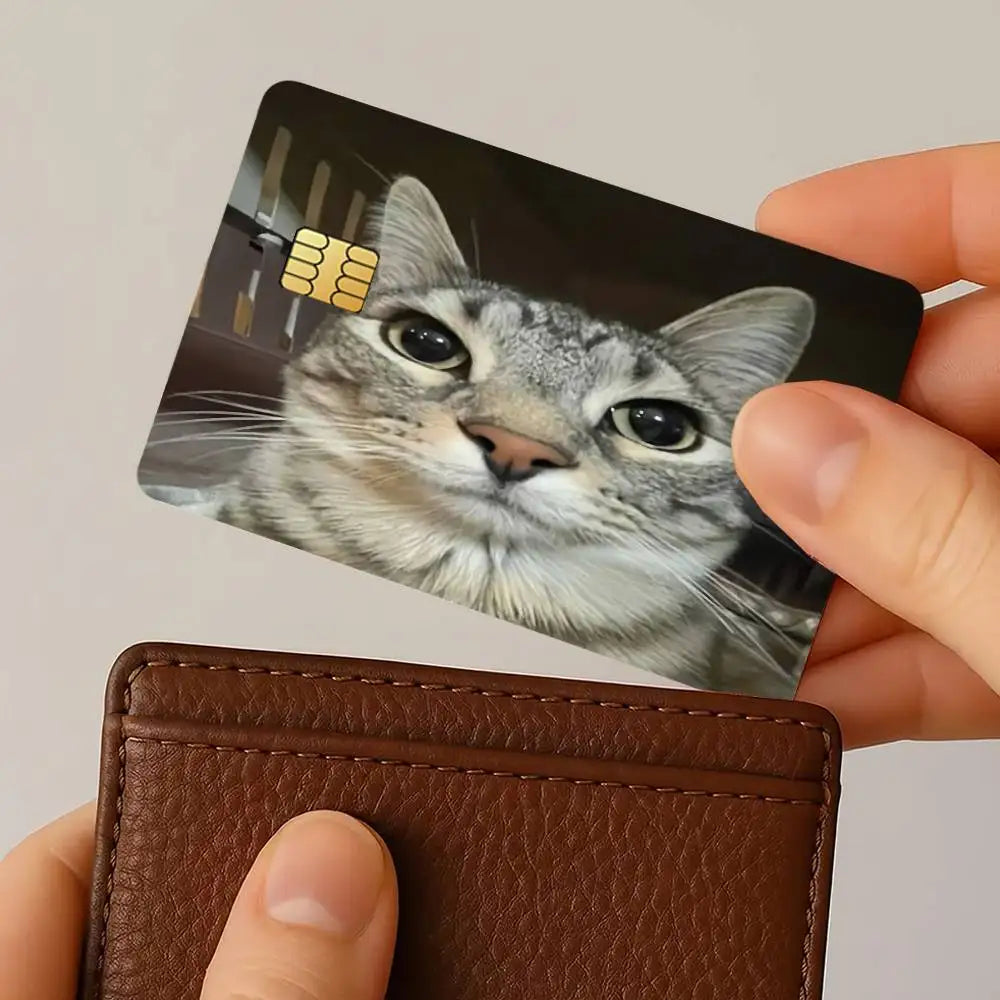A hand holds a black card with a cat face sticker, featuring a gray tabby cat looking forward.